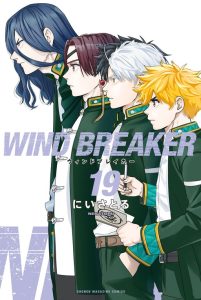 Wind Breaker (NII Satoru)